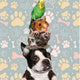 Pets