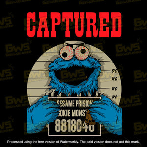 Cookie Monster 