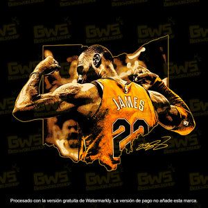 LeBron James 