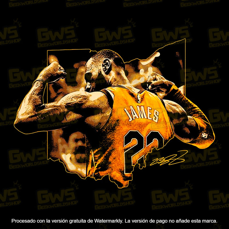 LeBron James 