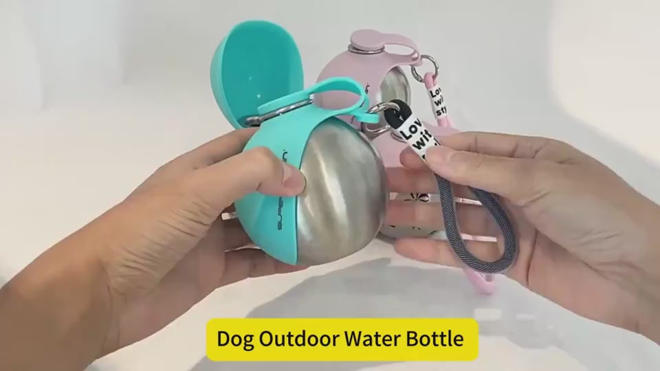 Stainless Steel Sidekick Travel Bottle – 2-in-1 Pet Hydration Station
